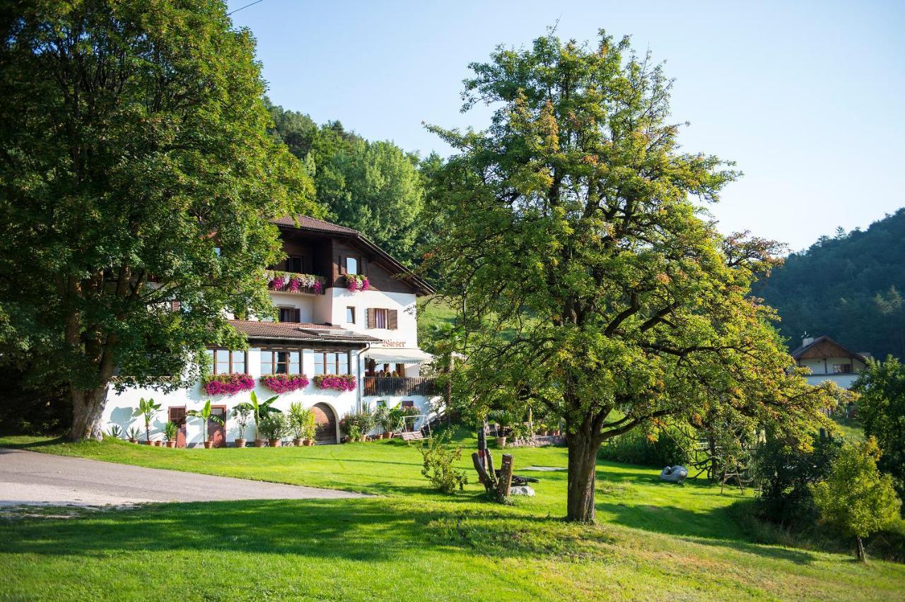 Gasthof Wieser 아피아노 술라 스트라다 델 비노 외부 사진